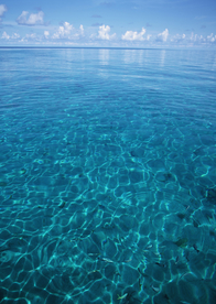 大海