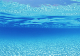 海水