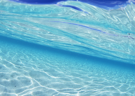 海水