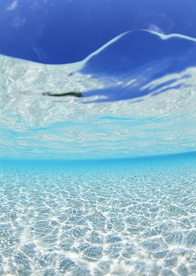 海水