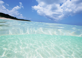 海水