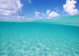 海水