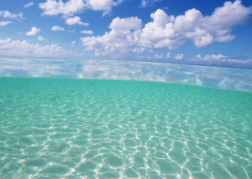 海水