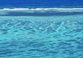 海水