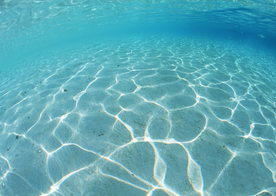 海水