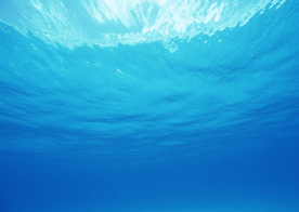 海水