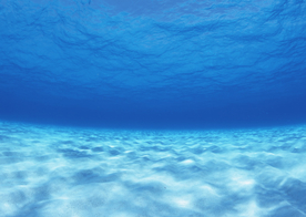 大海