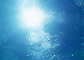 大海