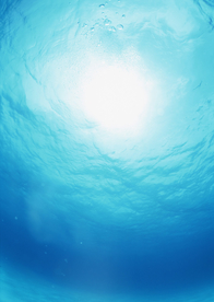 大海