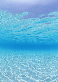 大海