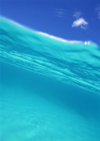 大海