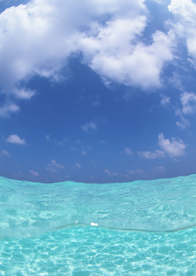 大海