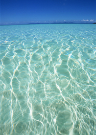 大海
