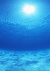 大海