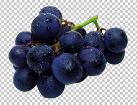 葡萄