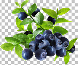蓝莓