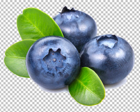 蓝莓