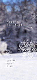 立冬节气海报