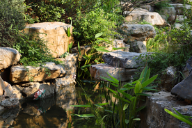 地产 新中式 洋房 实拍图 园