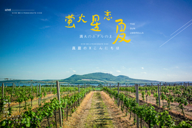 风光拍摄文字模板