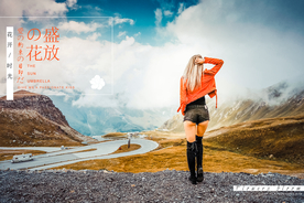 影楼婚纱相片模板