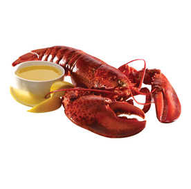 大龙虾