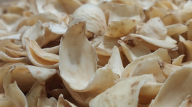 4K食材美食药膳百合