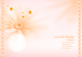 婚纱影楼写真模板