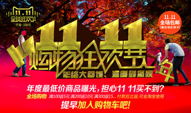 双11 双12购物节