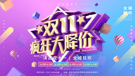 双11 双12购物节