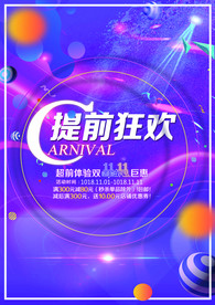 双11 双12购物节