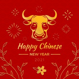 牛 新年展板背景