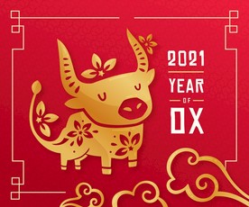 牛 新年展板背景