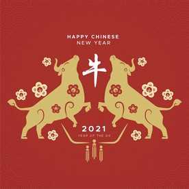 牛 新年展板背景