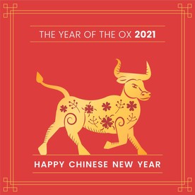 牛 新年展板背景