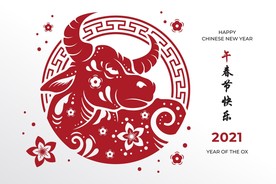 牛 新年展板背景