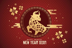 牛 新年展板背景