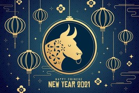 牛 新年展板背景