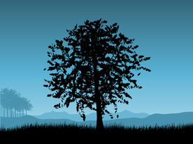 背景模板 展板背景