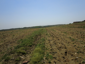 未开垦的土地农田