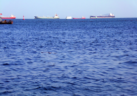 海与远方的轮船