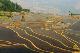 梯田