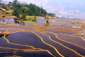 梯田
