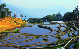 梯田
