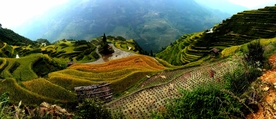 梯田