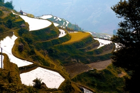 梯田