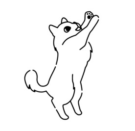 猫