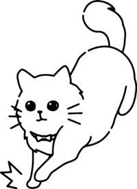 猫