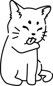 猫