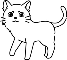 猫